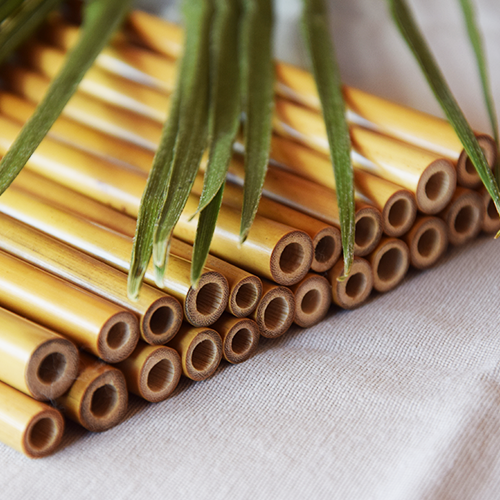 24 Pailles - Made In Bambou