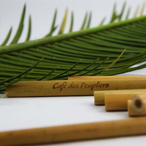 Café-Des-Peupliers-feuille-verte